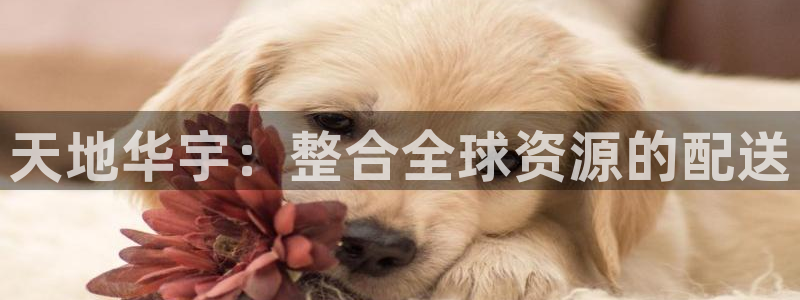 tp冷钱包转账到其他钱包怎么收手续费?：天地华宇：整合全球资