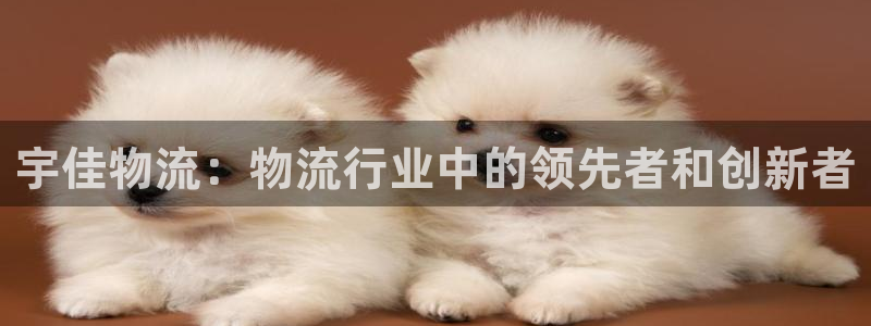 tp钱包的安全性高吗：宇佳物流：物流行业中的领先者和创新者