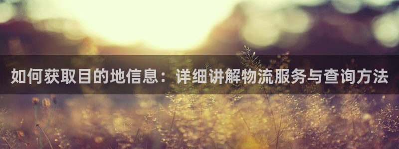 Tp下载官方安装：如何获取目的地信息：详细讲解物流服务与查询