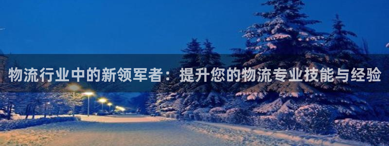 tp钱包转错链：物流行业中的新领军者：提升您的物流专业技能与